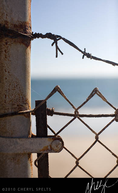 Barbed Wire and the Beach // Photo: Cheryl Spelts