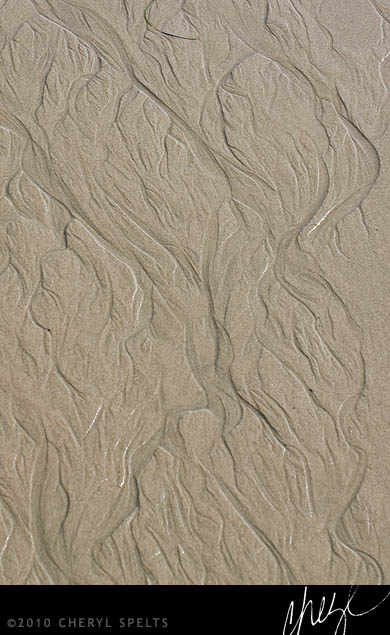 Patterns in the Sand // Photo: Cheryl Spelts